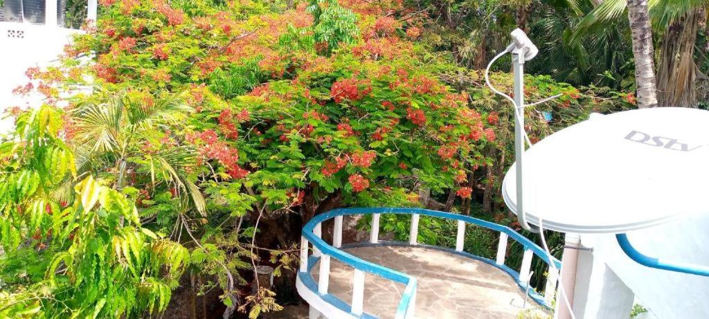 Dianistar Villas 迪亚尼海滩 外观 照片